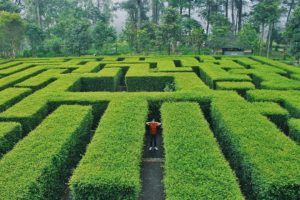 Tempat Outbound Malang Terpopuler