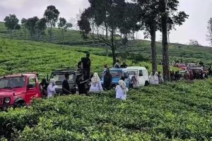 Menjelajah Keindahan Kebun Teh wonosari: Destinasi Outbound Yang Ideal Di Malang