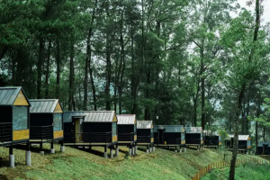 Tempat Outbound di Malang: Serunya Petualangan dan Pelatihan di Alam Terbuka