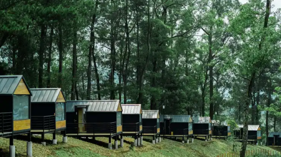 Tempat Outbound di Malang: Serunya Petualangan dan Pelatihan di Alam Terbuka
